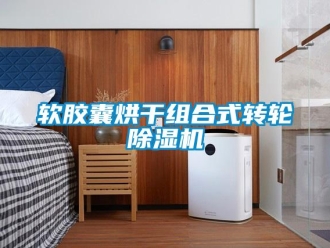 行業手机看片AV短片軟膠囊烘幹組合式轉輪91看片在线下载機