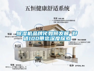 企業手机看片AV短片91看片在线下载機品牌化如何發展　　舒適100帶您深度探索