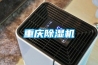 重慶91看片在线下载機