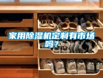 常見問題家用91看片在线下载機定製有市場嗎？