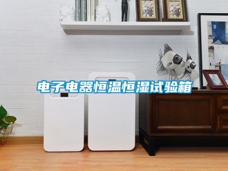 知識百科電子電器恒溫恒濕試驗箱