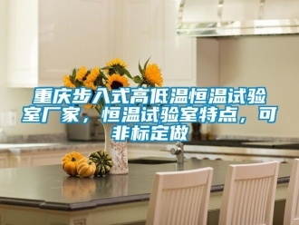 知識百科重慶步入式高低溫恒溫試驗室廠家，恒溫試驗室特點，可非標定做