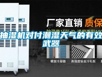 企業手机看片AV短片抽濕機對付潮濕天氣的有效武器