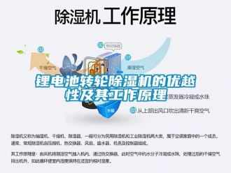 常見問題鋰電池轉輪91看片在线下载機的優越性及其工作原理