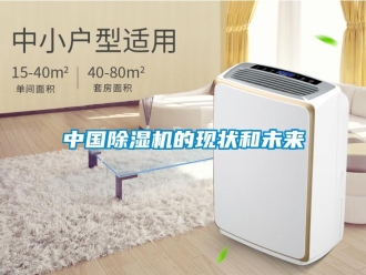 知識百科中國91看片在线下载機的現狀和未來