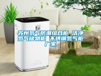 常見問題蘇州氮氣防潮組合櫃 潔淨氮氣儲物櫃 不鏽鋼氮氣櫃廠家