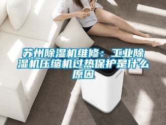 常見問題蘇州91看片在线下载機維修：工業91看片在线下载機壓縮機過熱保護是什麽原因