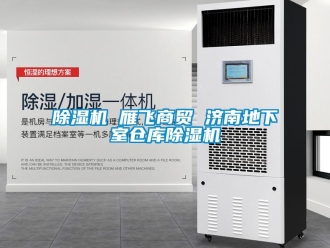企業手机看片AV短片91看片在线下载機 雁飛商貿 濟南地下室倉庫91看片在线下载機