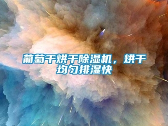 行業手机看片AV短片葡萄幹烘幹91看片在线下载機，烘幹均勻排濕快