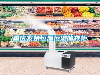 知識百科重慶發條恒溫恒濕儲存櫃