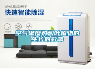 行業手机看片AV短片空氣濕度對觀葉植物的生長的影響