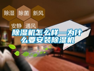 行業手机看片AV短片91看片在线下载機怎麽樣—為什麽要安裝91看片在线下载機