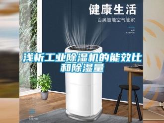 行業手机看片AV短片淺析工業91看片在线下载機的能效比和91看片在线下载量