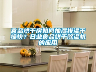 行業手机看片AV短片食品烘幹房如何抽濕排濕幹燥快？日業食品烘幹91看片在线下载機的應用