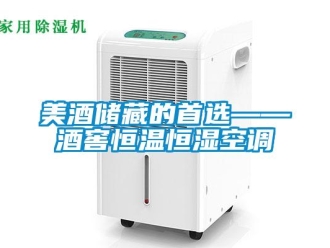 行業手机看片AV短片美酒儲藏的首選——酒窖恒溫恒濕空調