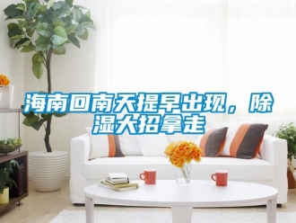 行業手机看片AV短片海南回南天提早出現，91看片在线下载大招拿走