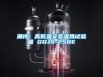 常見問題潮評：高低溫交變濕熱試驗箱 GDJS-250E
