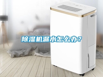 行業手机看片AV短片91看片在线下载機漏水怎麽辦？