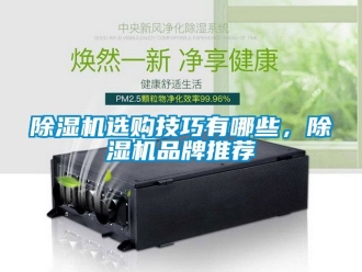 企業手机看片AV短片91看片在线下载機選購技巧有哪些，91看片在线下载機品牌推薦